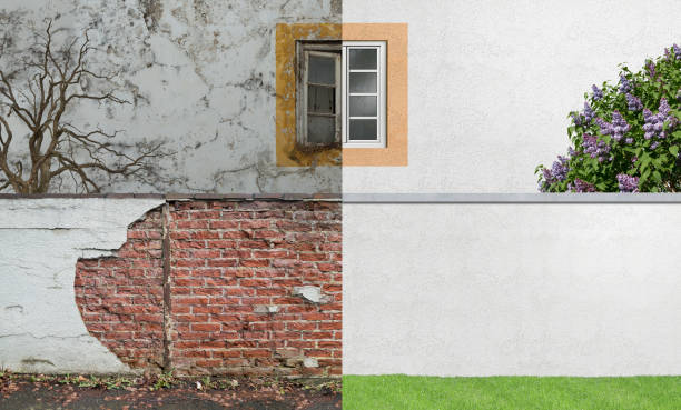 Best Mold Documentation for Insurance Claims  in Claude, TX