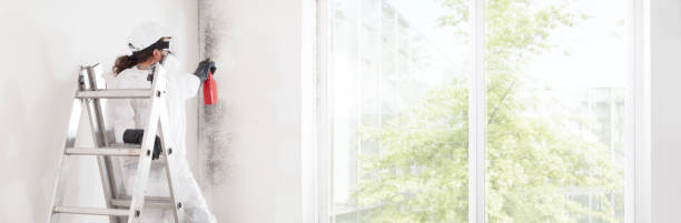 Best Biohazard Mold Removal  in Claude, TX